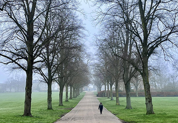 Person walking through trees
