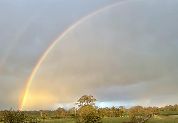 Rainbow