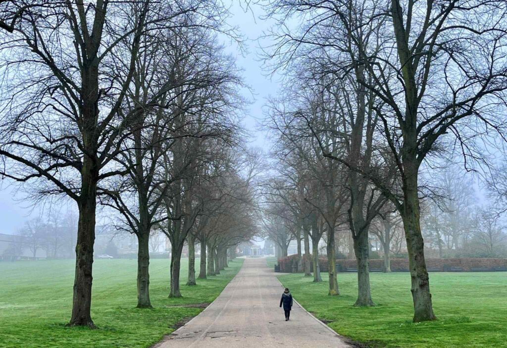 Person walking along a path